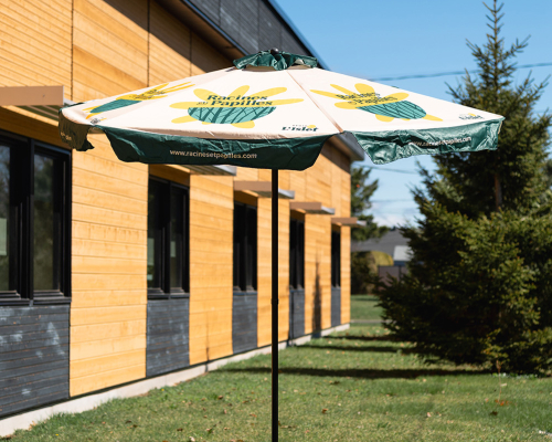  Parasols (4 disponibles)