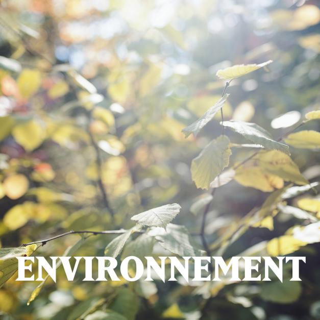 Environnement