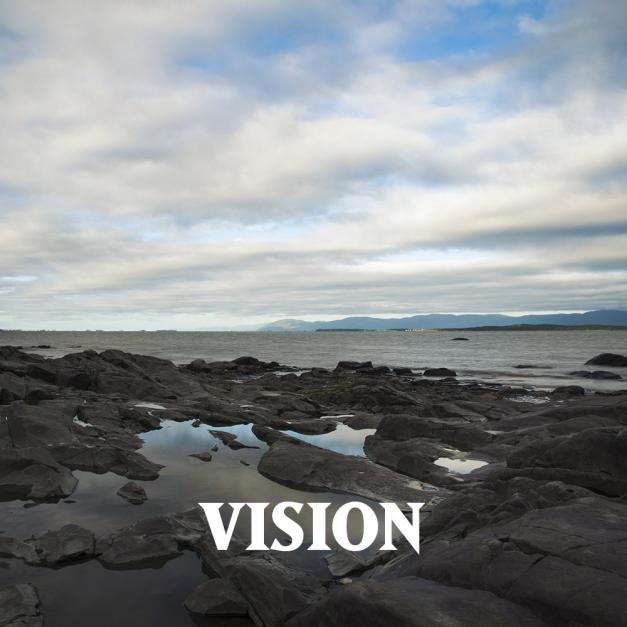 Vision