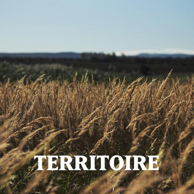 Territoire