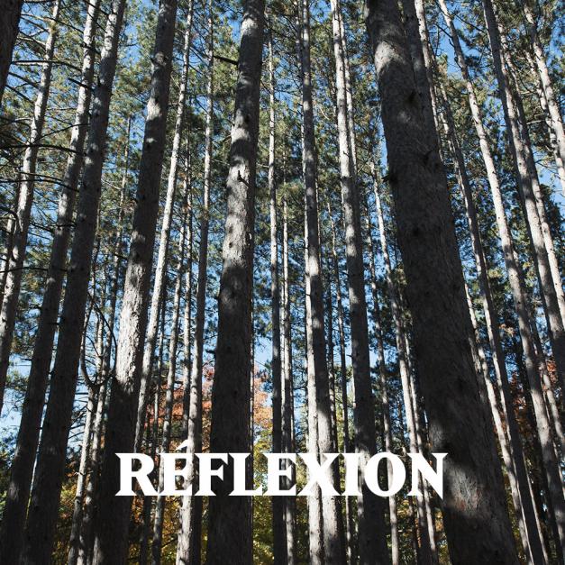 Réflexion